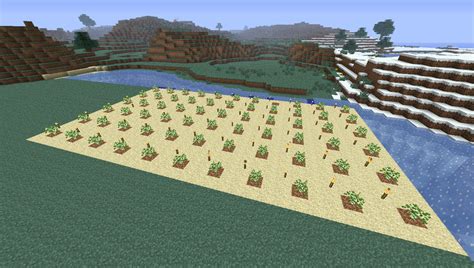 Spruce and jungle are finicky with 3 block spacing, but oak and birch can have 0, 1, or 3 bolck spacing and grow. . Minecraft tree farm layout